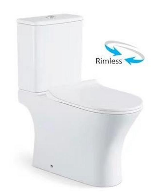 ELEXI Washdown Rimless WC Complete Set (S-250mm) - White