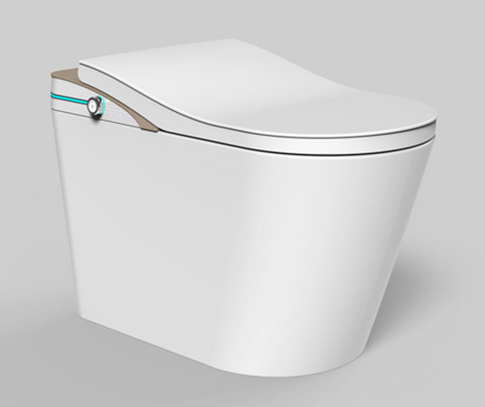 Smart Toilet Complete Set (S-250mm) c/w Tank (High Version) - Gold
