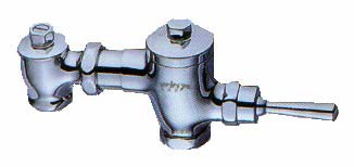 Exposed WC / Squatting Flush Valve - Chrome