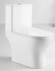 TERA Washdown Rimless WC Complete Set (S-250mm) - White