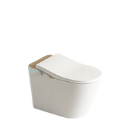 Smart WC Complete Set (S-400mm) c/w Tank (High Version) - Gold