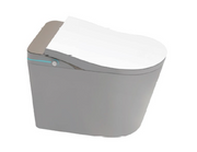 Smart WC Complete Set (S-225mm) c/w Tank (High Version) - Gold