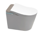 Smart WC Complete Set (P-180mm) c/w Tank (High Version) - Gold