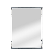 Tora Rectangular Stainless Steel Frame Mirror L600 x H800mm