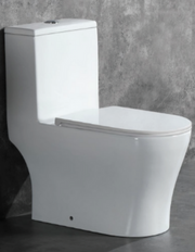 LEONA WC Complete Set (S-250mm) - White