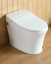 Smart WC Complete Set (S-300mm) - White