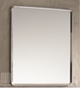 Tora Stainless Steel Frame Mirror L600 x H800mm