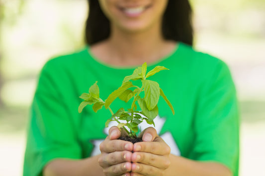 The Eco-Friendly Benefits of Using an In-Sink Food Waste Disposer