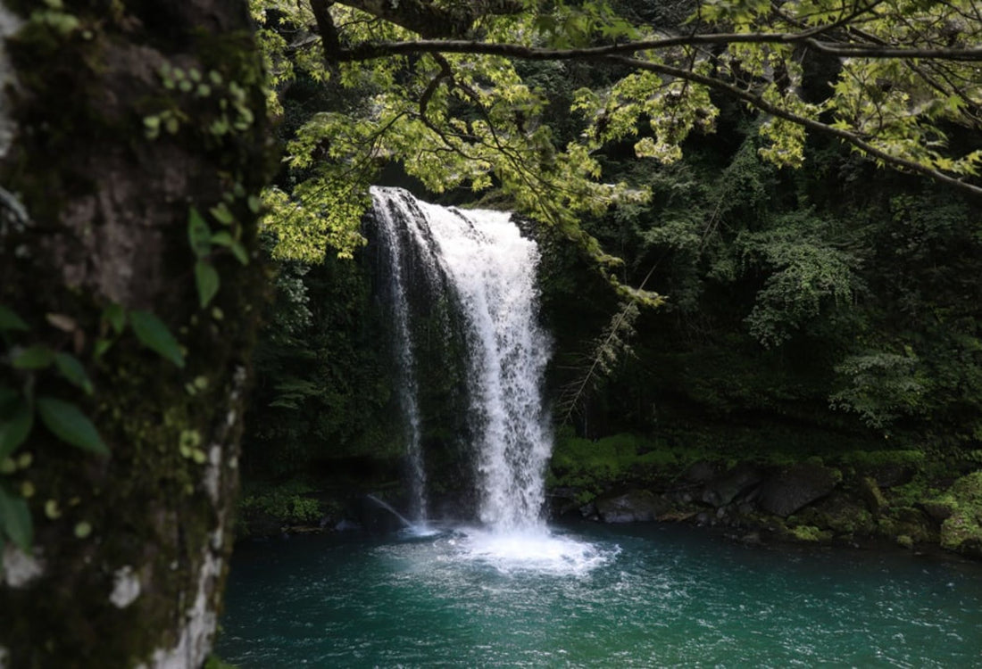 5 Best Waterfalls in Malaysia - Which One is Your Favourite?