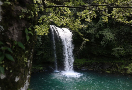 5 Best Waterfalls in Malaysia - Which One is Your Favourite?