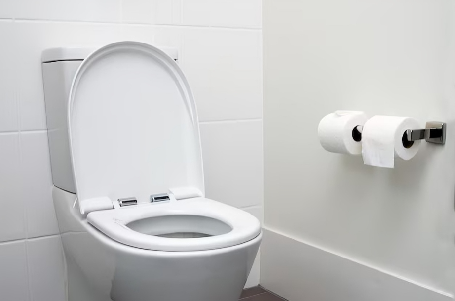 modern toilet bowl in Malaysia bathroom renovation project
