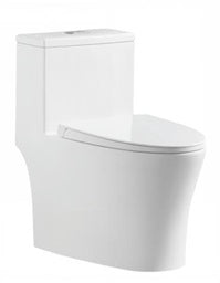 LUDO Washdown Rimless WC Complete Set (S-250mm) - White