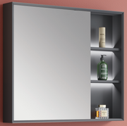 Modern Series Carbon Fibre Mirror Cabinet