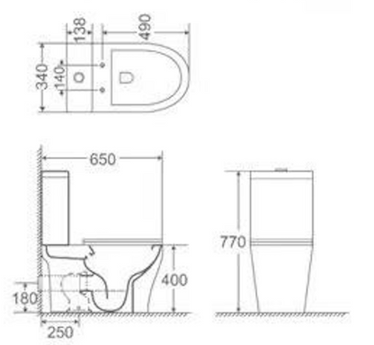 ELEXI Washdown Rimless WC Complete Set (S-250mm) - White