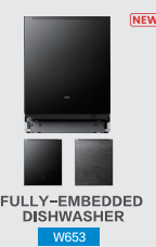 Robam Dishwasher + Black Door Plate