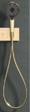 Hand Shower Set - Matt Gold