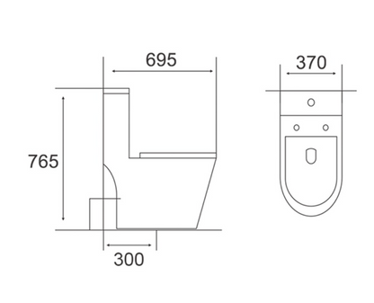 AQUA Washdown Spinning Flush WC Complete Set c/w UF Seat Cover (S-250mm) - White