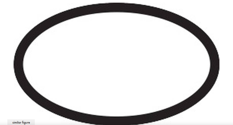 Hansgrohe O-Ring 22x2