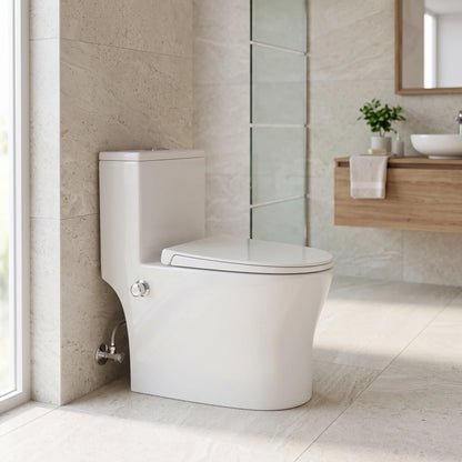 WALDEN Washdown Rimless WC Complete Set c/w Build in Bidet (S-250mm) - White in a room setting