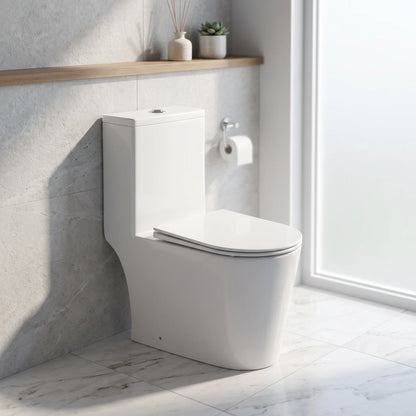 AQUA Washdown Spinning Flush WC Complete Set c/w UF Seat Cover (S-250mm) - White in a room setting