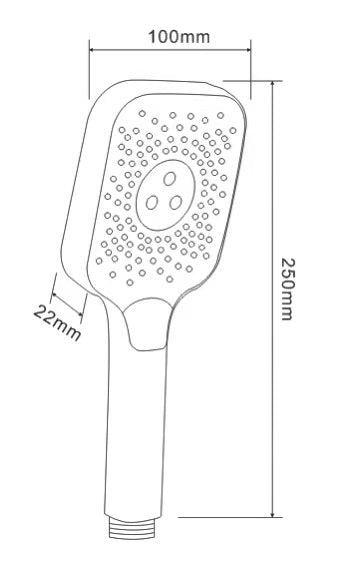 Hand Shower Set - Matt Gold