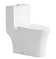 LUCCA WC Complete Set (S-250mm) - White