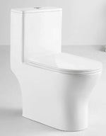 TERA Washdown Rimless WC Complete Set (S-250mm) - White