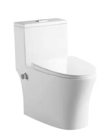 WALDEN Washdown Rimless WC Complete Set c/w Build in Bidet (P-180mm) - White