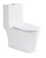 AQUA Washdown Spinning Flush WC Complete Set c/w UF Seat Cover (S-250mm) - White