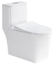 QARA Siphonic Spinning Flush WC Complete Set c/w UF Seat Cover (S-300mm) - White