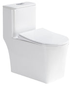 QARA Siphonic Spinning Flush WC Complete Set c/w UF Seat Cover (S-300mm) - White
