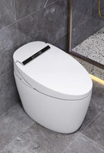 Smart WC Complete Set (S-250mm) - White