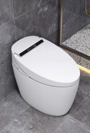 Smart WC Complete Set (S-250mm) - White