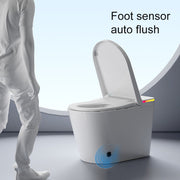 Smart WC Complete Set (S-300mm) c/w Tank - White