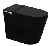 Smart WC Complete Set (S-250mm) c/w Tank (High Version) - Matt Black