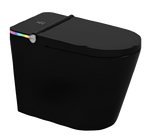 Smart WC Complete Set (S-250mm) c/w Tank (High Version) - Matt Black