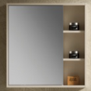 Mirror Cabinet