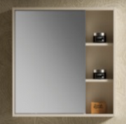 Mirror Cabinet