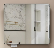 Carbon Fiber Mirror Cabinet