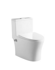 WALDEN WC c/w Build in Bidet Complete Set (S-250mm)- white