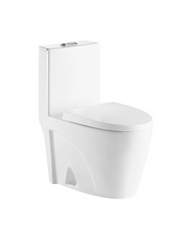 VIDA Washdown WC Complete Set (S-250mm) - White