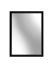 Rectangular Stainless Steel Frame Mirror