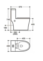WALDEN WC c/w Build in Bidet Complete Set (S-250mm)- white