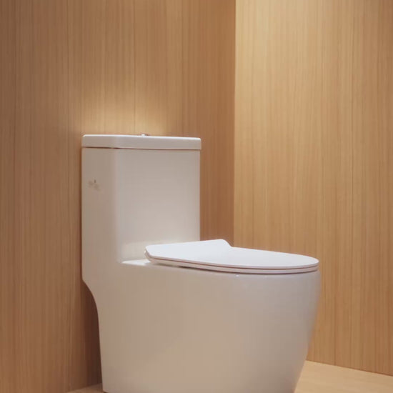 VIZION Washdown Spinning Flush WC Complete Set with UF Seat Cover (S-250mm) - White video [src:file:BB_VIZIONAsthetic_BB-SYW-OPS-22277-WW.mp4]